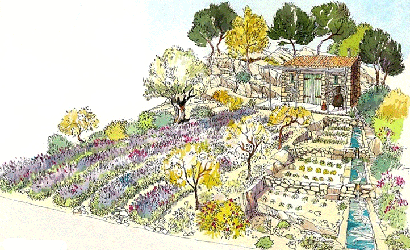 Planritning över trädgården